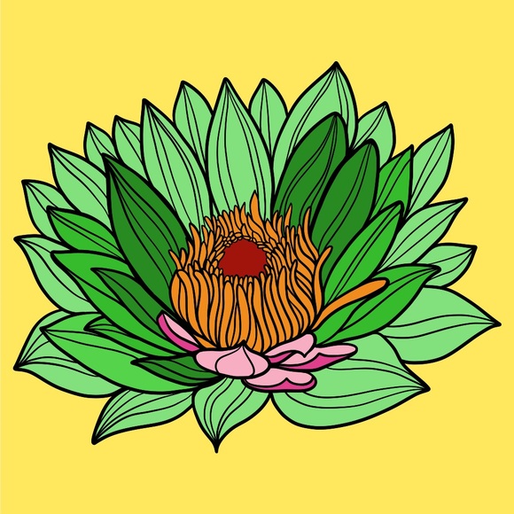 kayakit
